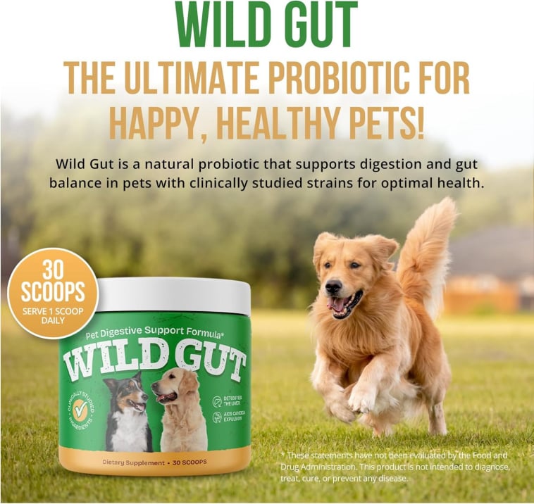 wildgut wildgut